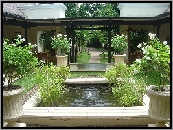 Ogród, Victoria, Hotel, Zambia